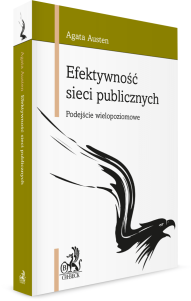 Efektywność sieci publicznych. Podejście wielopoziomowe