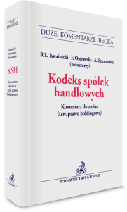 Kodeks spółek handlowych. Komentarz do zmian (tzw. prawo holdingowe)