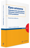 Kara umowna. Zabezpieczenie zobowiązania, obliczanie i miarkowanie kary, skutki podatkowe. Komentarz praktyczny