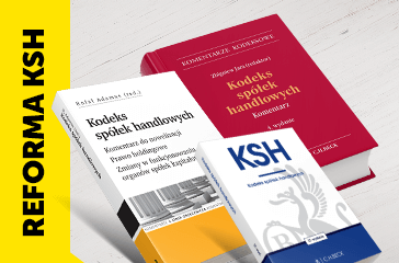 Reforma KSH - Prawo holdingowe