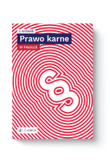 Prawo karne w pigułce